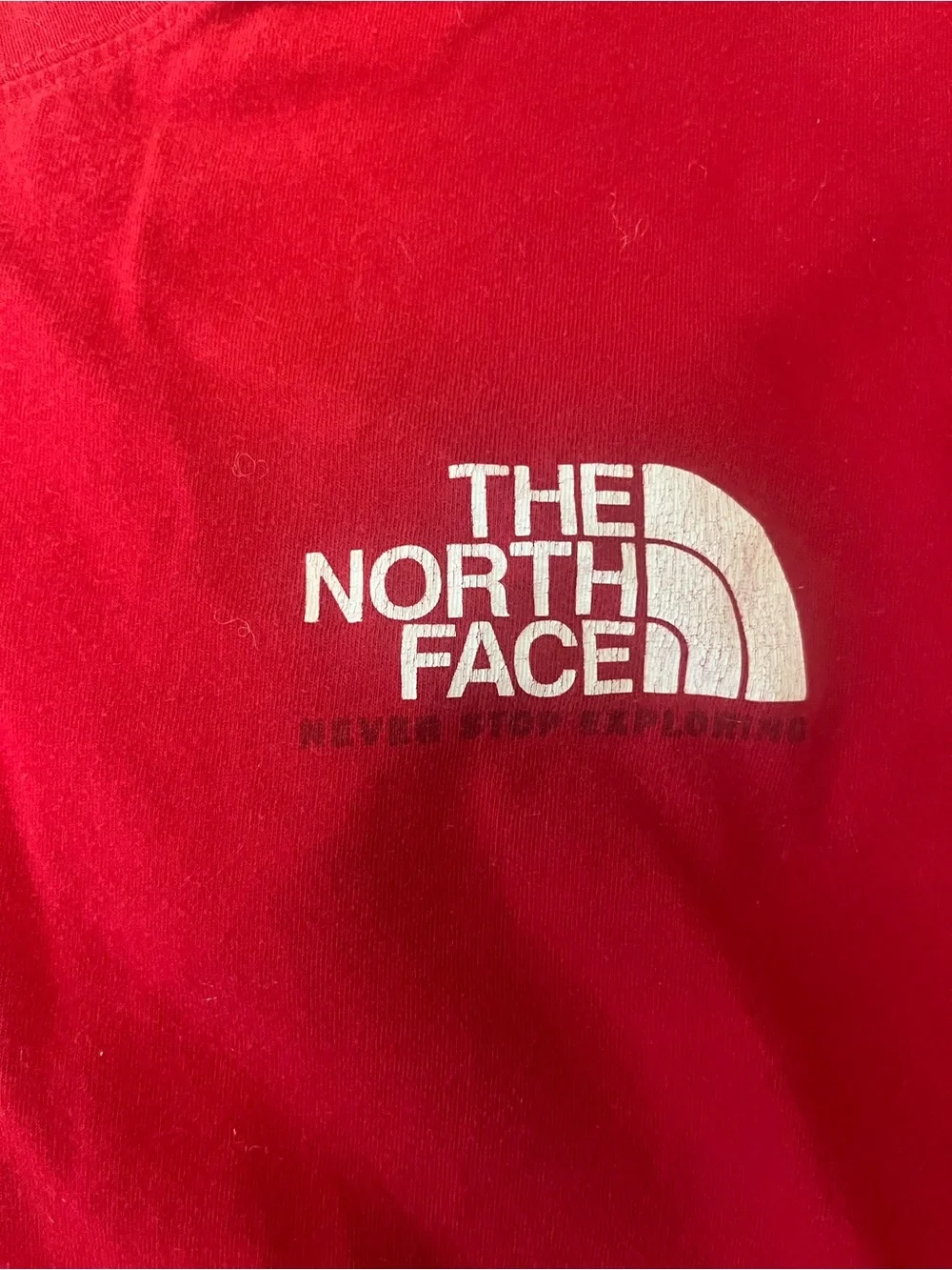 The North Face Red Short Sleeve Logo Tee
